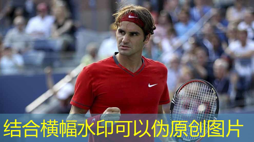 会议桌乒乓球台二合一