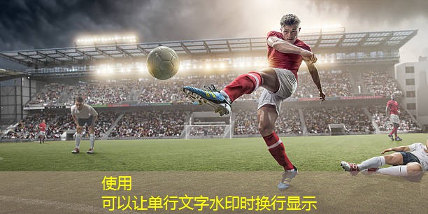 健身器材大全拆装