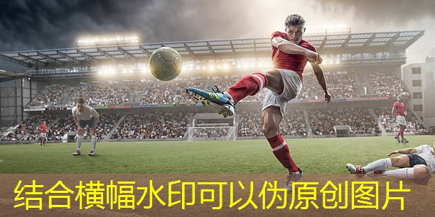 室内健身器械的使用